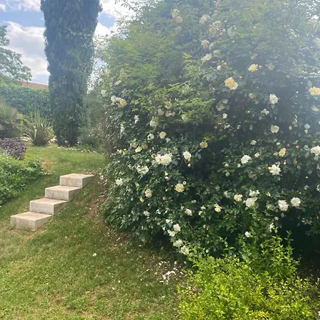 Domos Selene Casa Delle Farfalle Tinjan