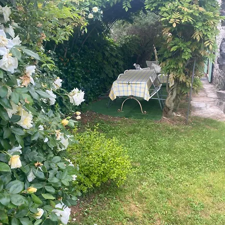Domos Selene Casa Delle Farfalle Holiday home Tinjan